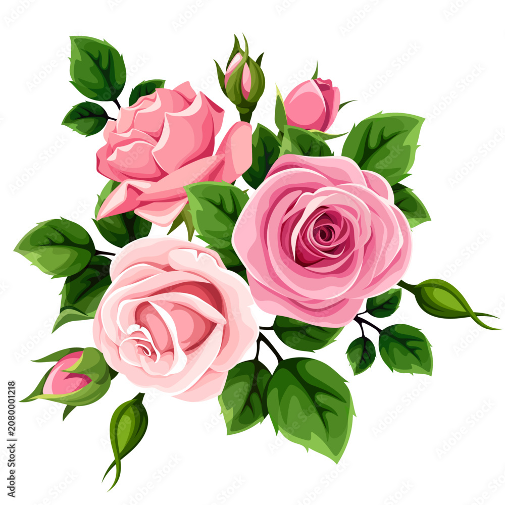 Fototapeta premium Pink roses. Bouquet of rose flowers isolated on a white background. Vector illustration