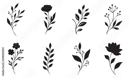 Black and White Flower and Plant Silhouette Vector Set with Botanical Floral Elements for Seamless Pattern Vintage Nature Illustration Design and Wallpaper
