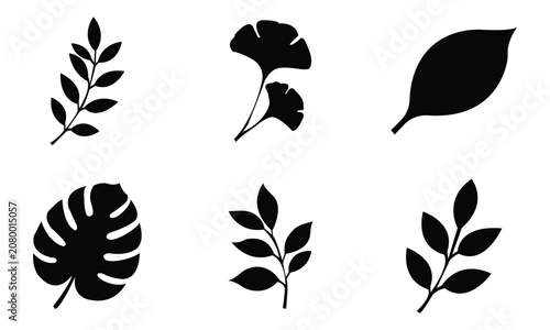 Vector Set of Leaf Silhouettes with Botanical Nature Elements Vintage Black Foliage Icons Decorative Plant Collection for Design Illustration and Seamless Pattern