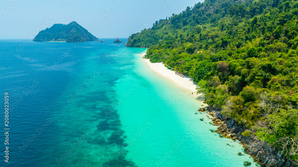 Fototapeta premium Aerial view of a dense, vibrant green coastal jungle meeting dark blue ocean water. A thin, rocky beach and white foamy waves separate the rugged terrain from the sea.concept 