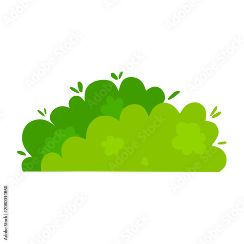 Vector illustration of two green bushes on a white background in a cartoon style.