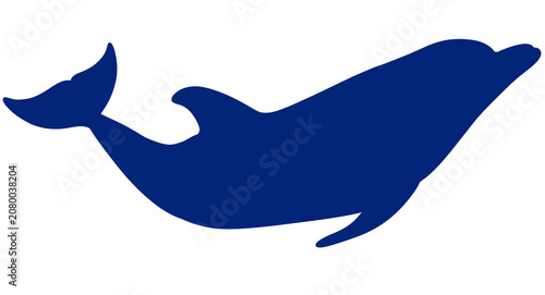 The silhouette of a dolphin swimming upwards freely and nimbly