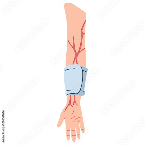 Obraz na płótnie Human forearm displays superficial blood vessels and a cuff around the wrist