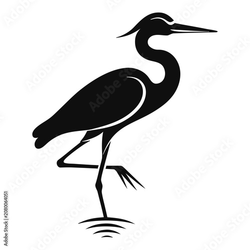 Silhouette of a Heron Bird Standing in Shallow Water