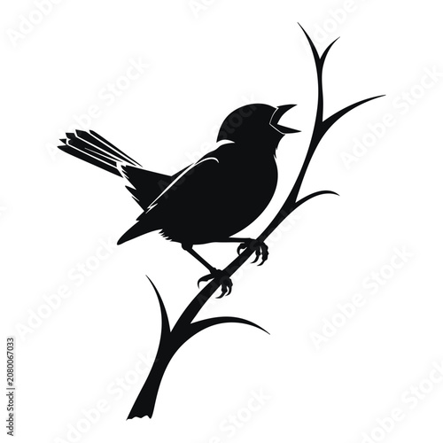 Singing sparrow silhouette perched on a thin branch