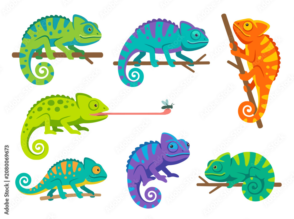 Obraz premium A collection of colorful cartoon chameleons in various poses and vibrant patterns.