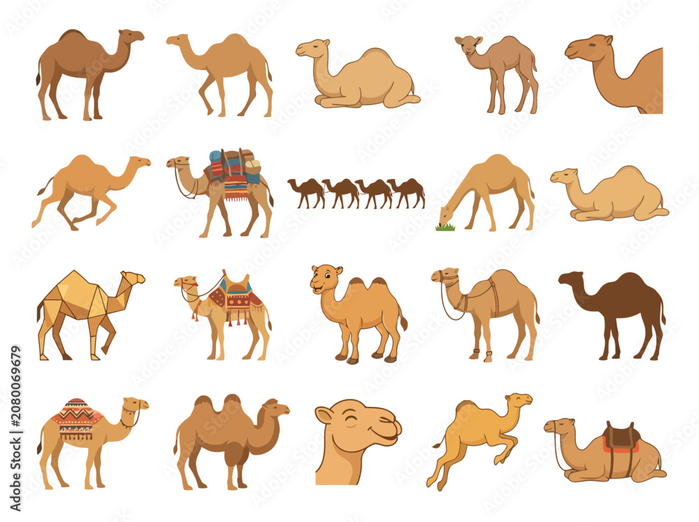 Obraz premium A collection of various camel illustrations in different poses and styles.