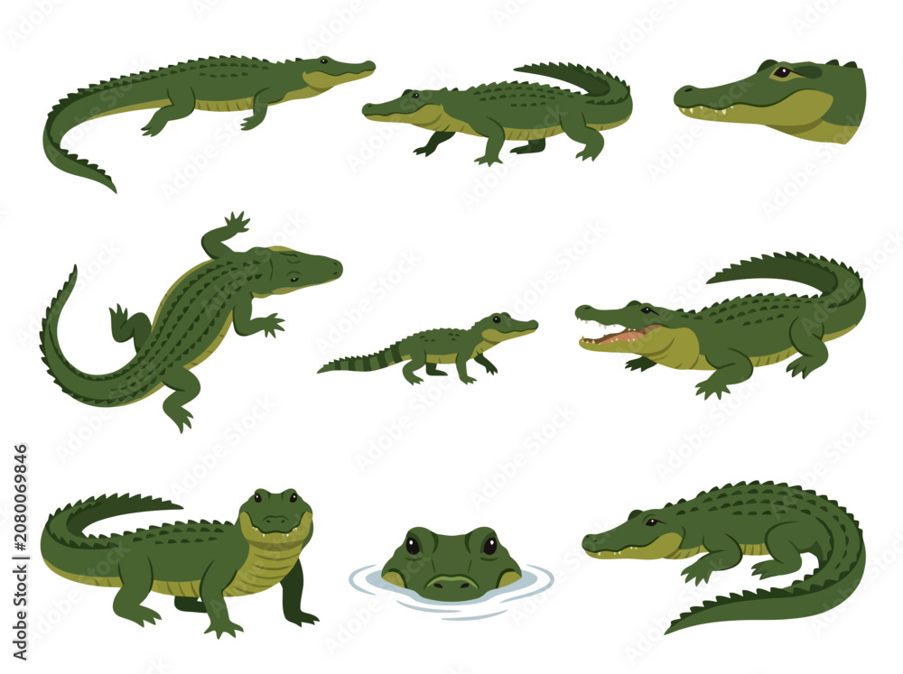 Fototapeta premium A collection of various green crocodiles and alligators in different poses and angles.