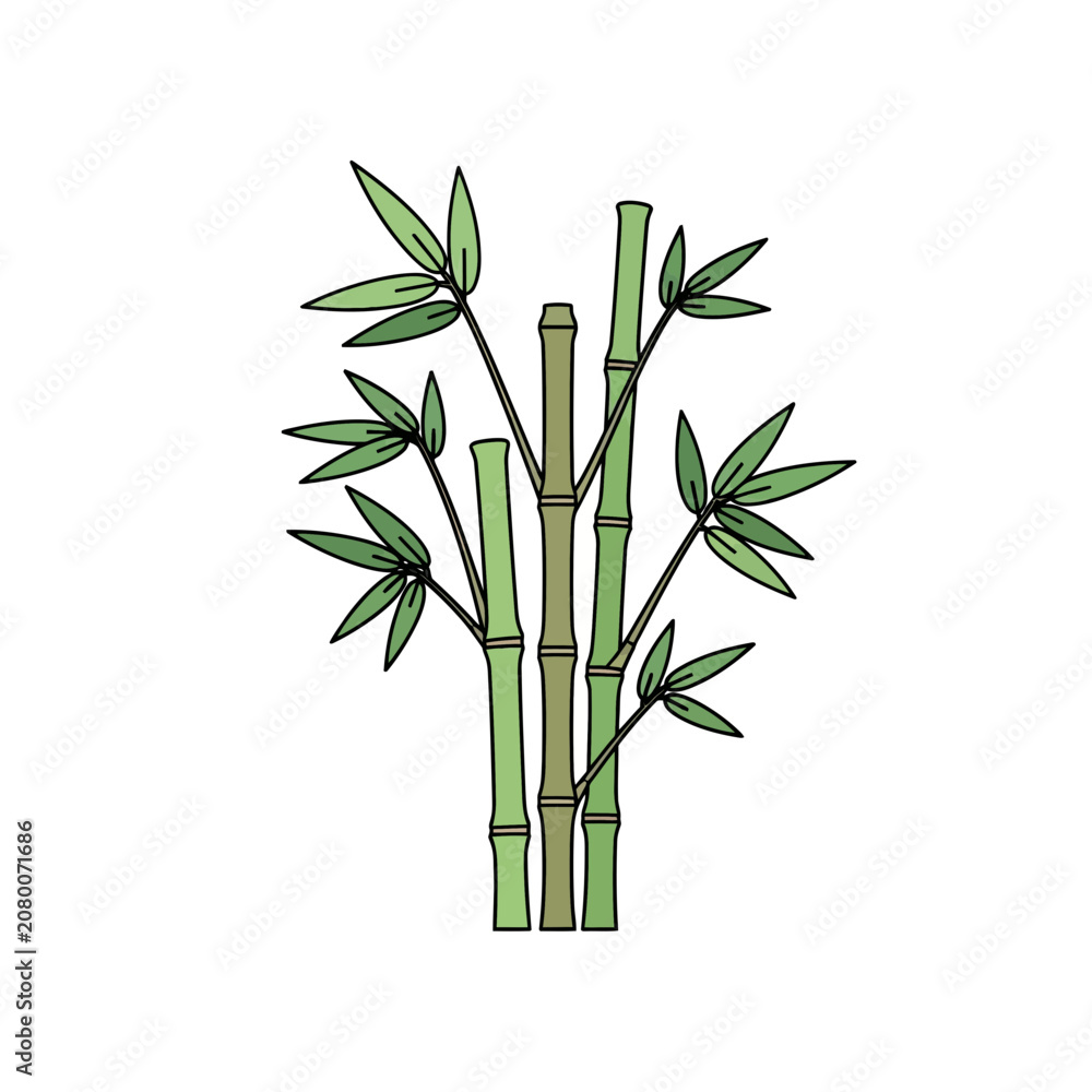 Fototapeta premium Green Bamboo Stalks with Leaves