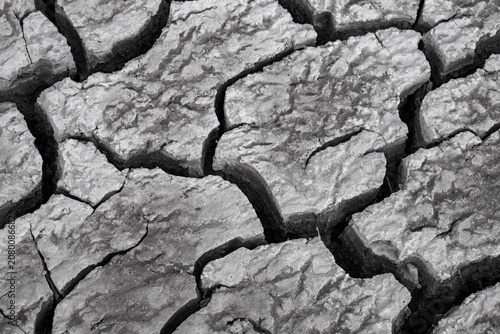 Valokuva Black and white texture of dry cracked soil, ideal for ecological articles, global warming banners, climate change designs, and commercial backgrounds