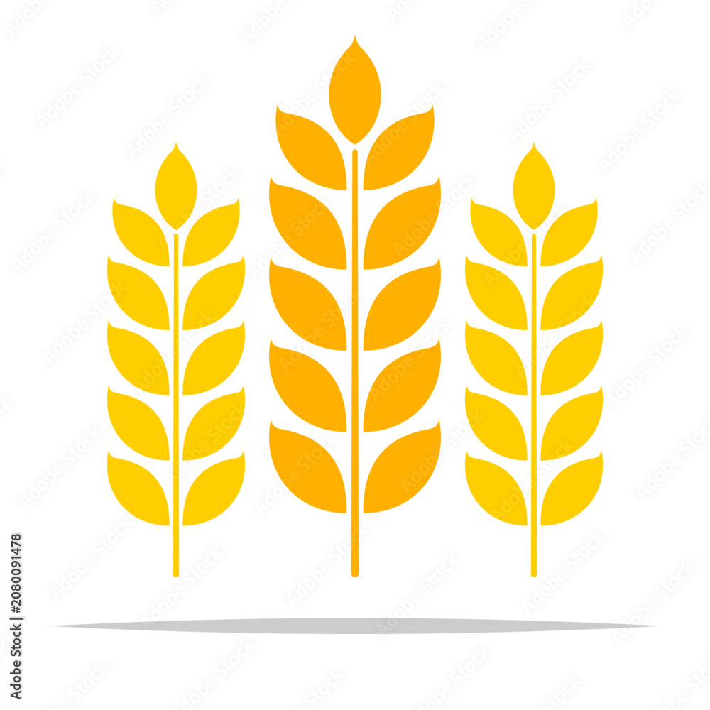 Fototapeta premium wheat flat icon vector isolated illustration