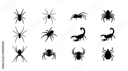 Obraz na płótnie Set of spider, scorpion and tick silhouettes isolated on white background