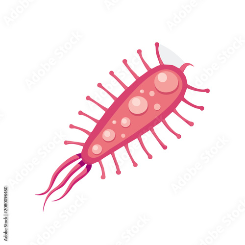 Pink Bacterium Vector Illustration