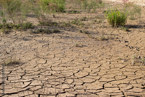 Bild auf Leinwand Arid landscape with cracked dry earth ground and sparse withered grass global warming drought effect on parched brown clay soil field