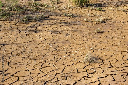 Foto Arid landscape with cracked dry earth ground and sparse withered grass global warming drought effect on parched brown clay soil field