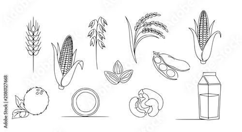 Plant-based Milk Ingredients: Coconut, Corn, Oats, Rice, Almonds, Soy, Cashews, Wheat