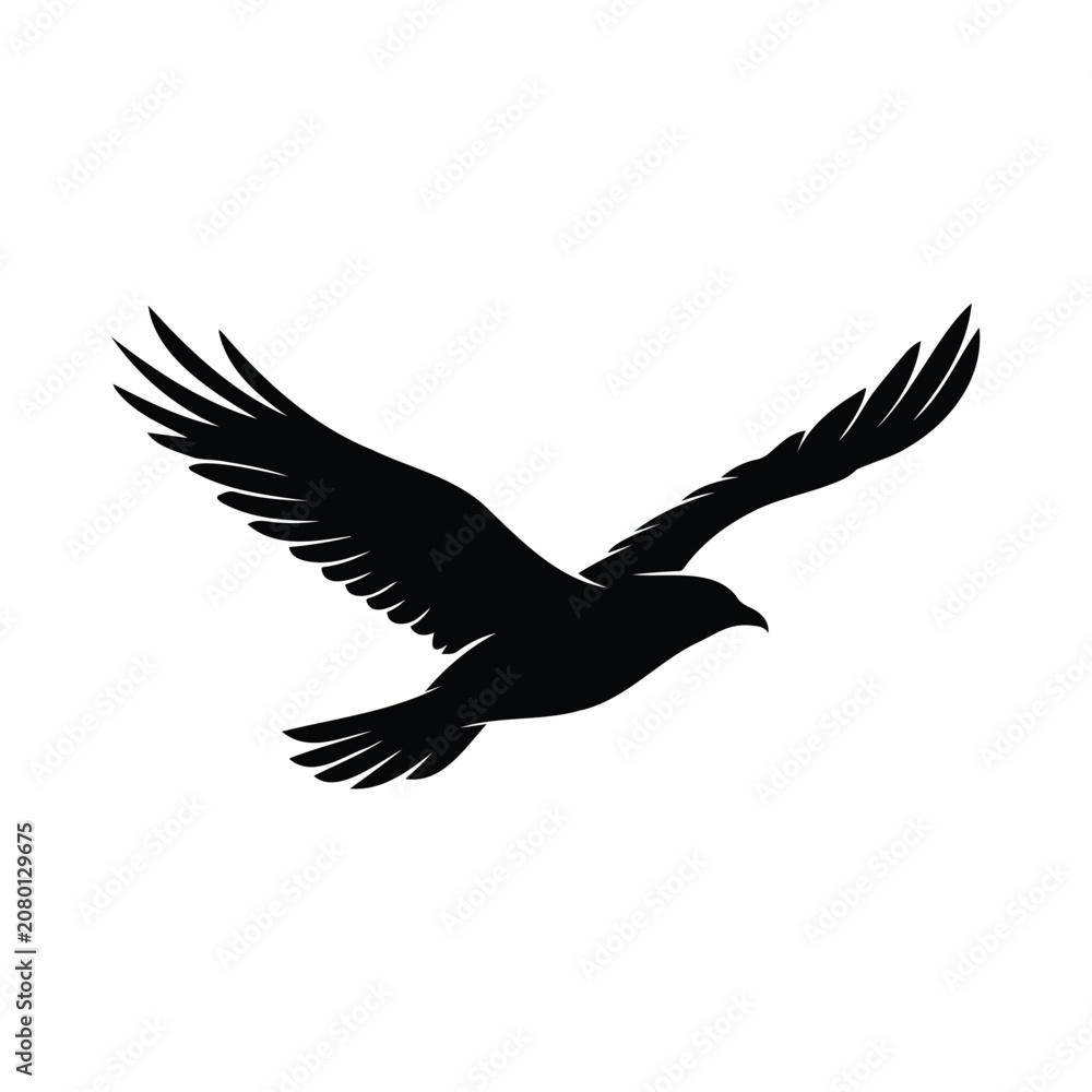 Fototapeta premium Black silhouette of majestic eagle flying with spread wings isolated on white background.