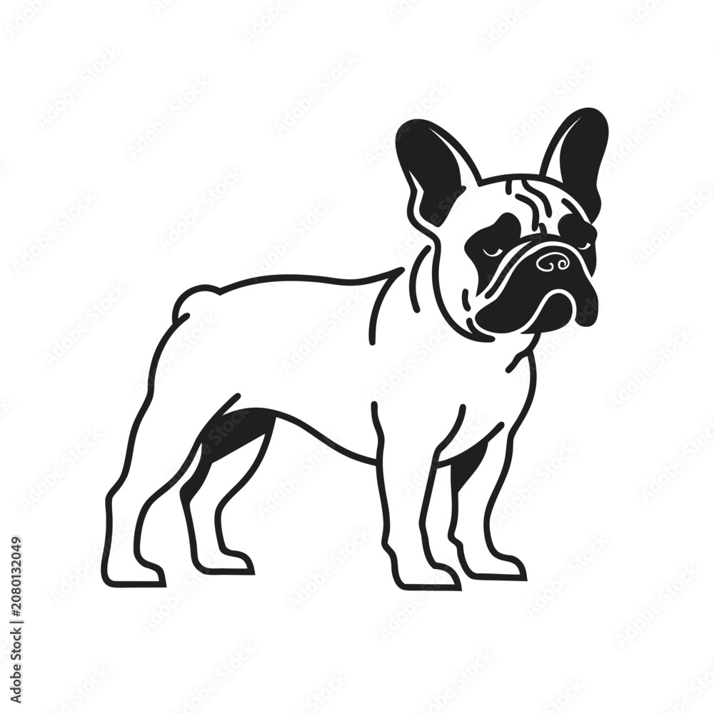 Fototapeta premium Black and white french bulldog dog icon illustration