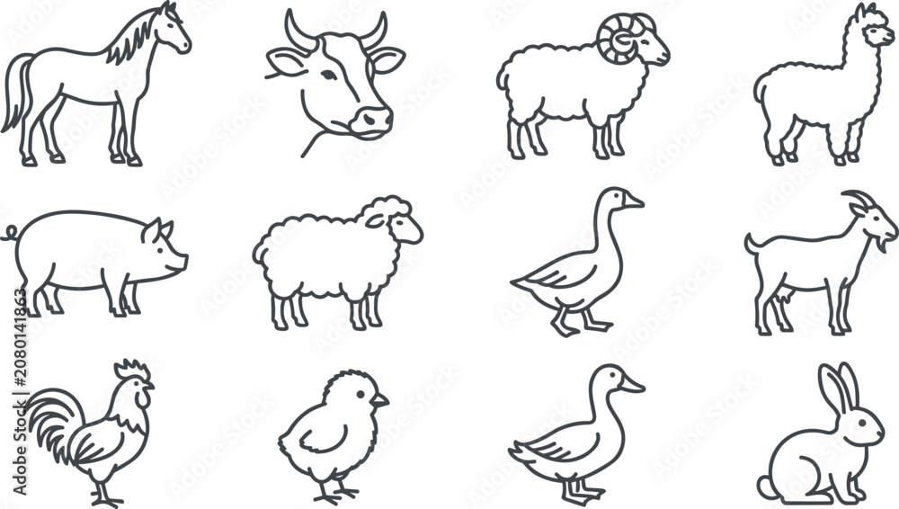 Fototapeta premium Farm Animal Outline Collection Featuring Horse Cow Sheep Llama Pig Goat Goose Chicken Duckling and Rabbit Livestock Vector Illustration Set