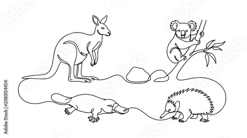 Fényképezés オーストラリアの動物たち、カンガルー、コアラ、カモノハシ、ハリモグラの線画イラストセット。野生動物のシンプルでモダンなベクターデザイン。