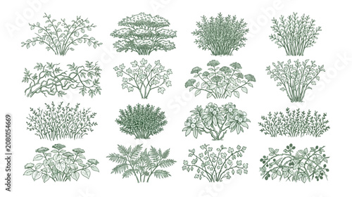 Konstfotografi 手描き風の緑豊かな植物、庭園や景観デザインに最適な様々な低木と茂みのベクターイラストセット。自然な緑の葉が美しい、装飾的な植栽エレメント。
