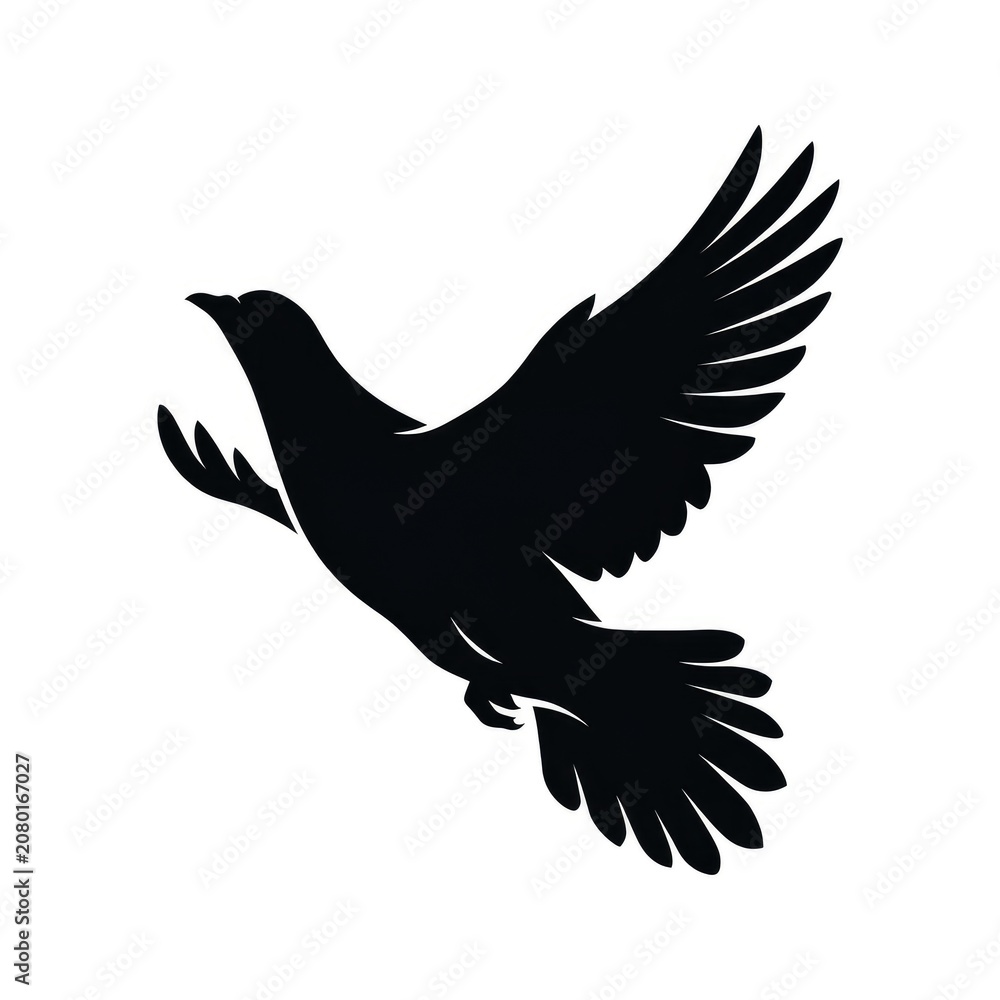 Fototapeta premium A Dynamic Motion Silhouette of an American Pigeon Mid Flight from Rural Farmland.jpeg