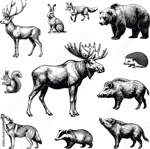 Canvas Print Black and white illustration of various wild animals on transparent background