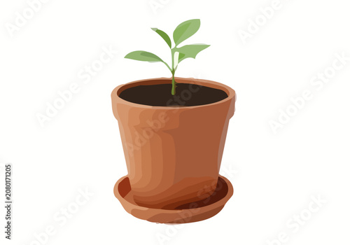 A small plant grows in a terracotta pot on a saucer indoors.