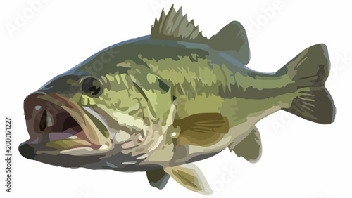 A large mouth bass fish swims quickly through calm water outdoors.