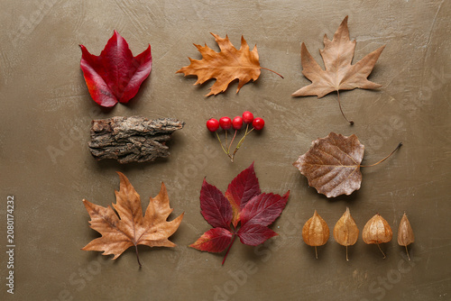 Autumn leaves, tree bark an...