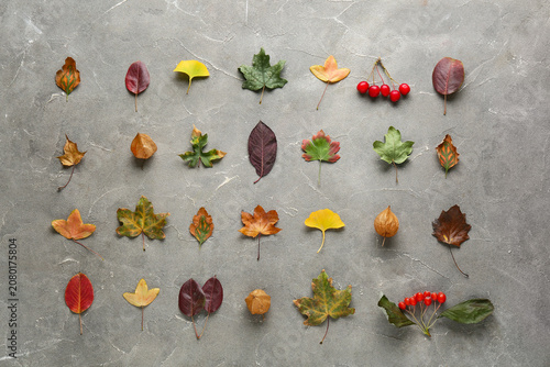 Composition with different ...