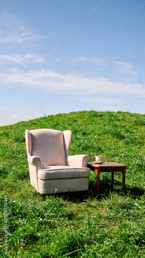 Fototapeta premium Elegant Armchair on Lush Green Hillside