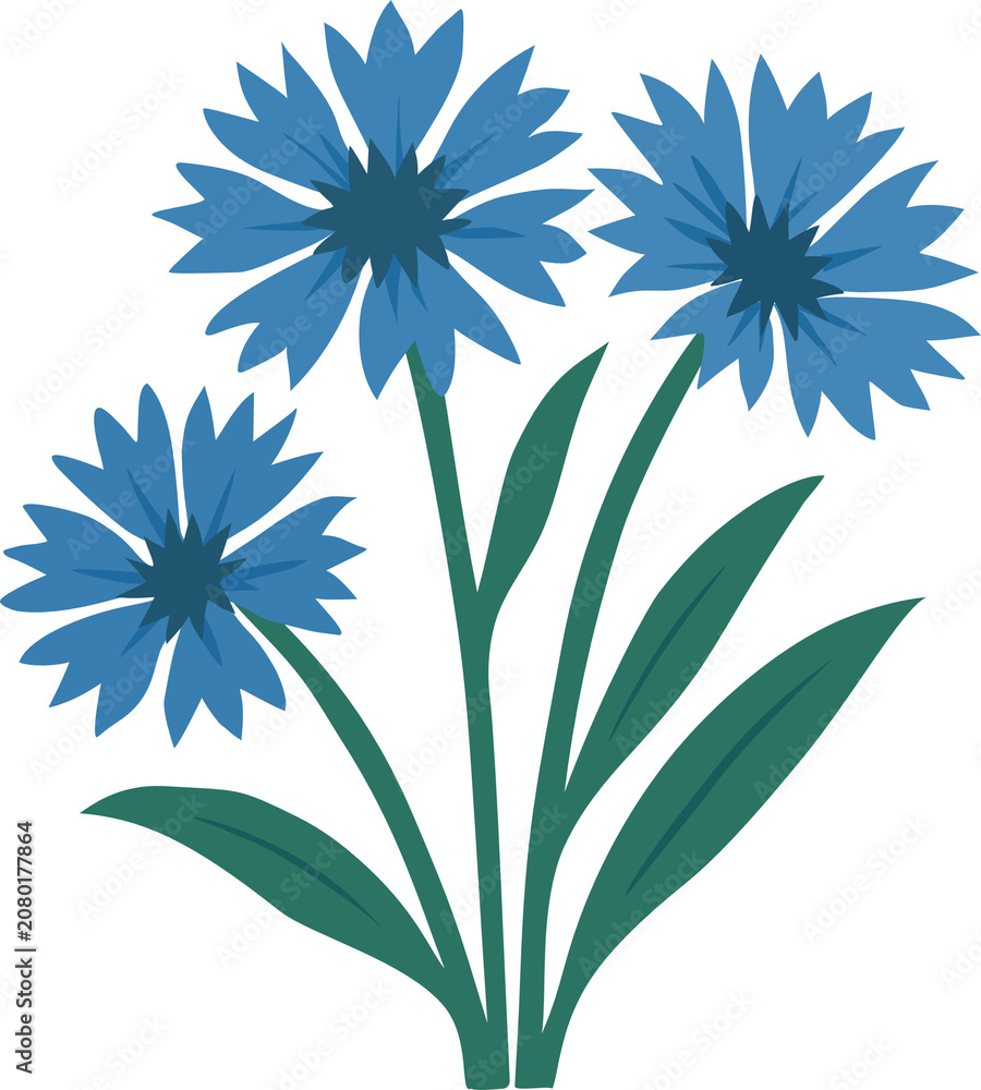 Fototapeta premium vector illustration of a dandelion