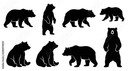 Cuadro en lienzo Collection of black bear silhouettes walking and sitting.