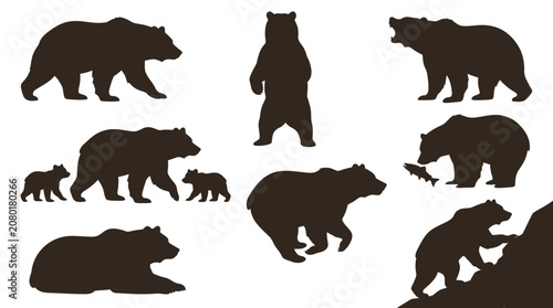 Bild auf Leinwand Collection of brown bear silhouettes walking and standing.