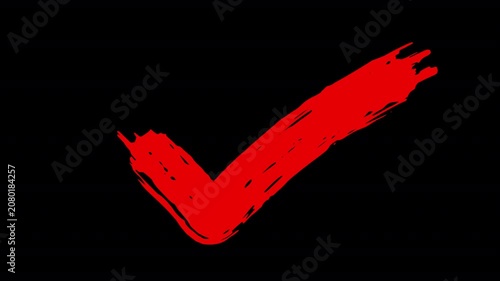 Red check Mark Symbol