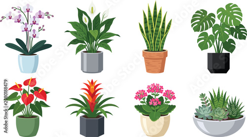 Foto Potted houseplants vector icon set with monstera orchid snake plant peace lily a