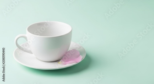 White ceramic tea cup on saucer.