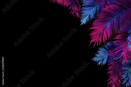 Vibrant Neon Palm Leaves on Black Background for Modern Design.