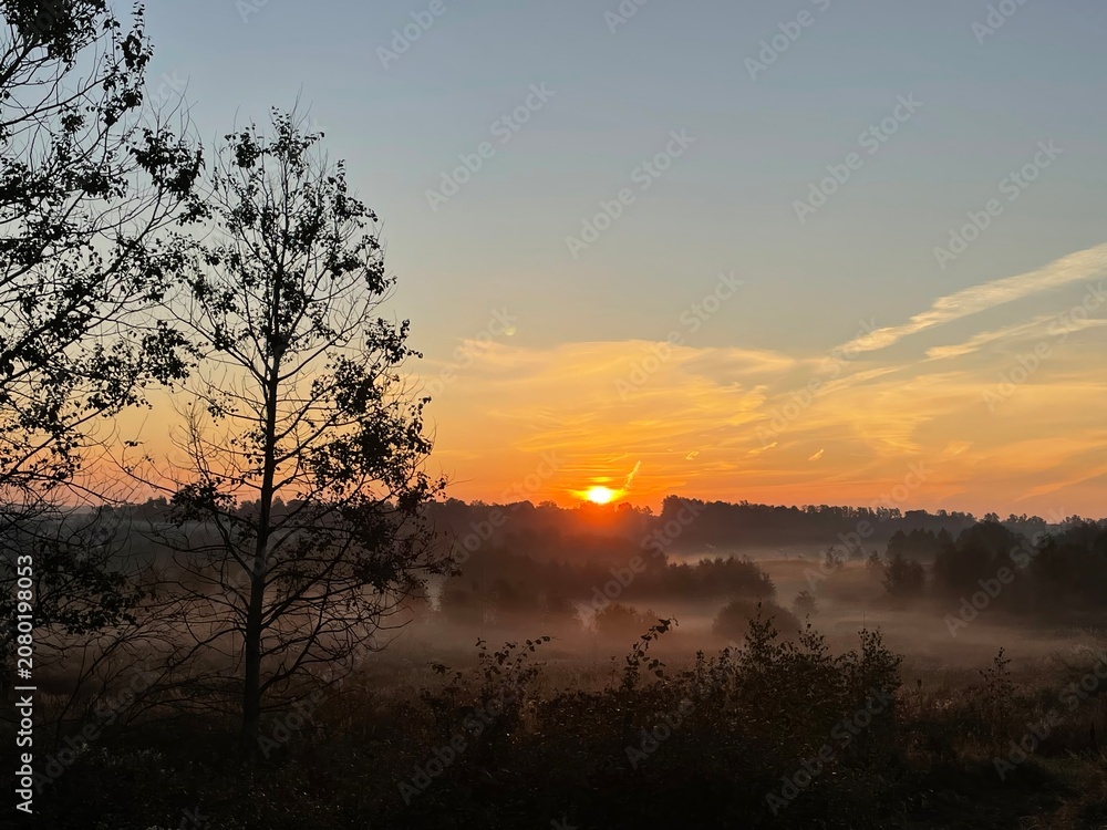 Fototapeta premium Golden sunrise over misty forest and rural landscape with glowing horizon, peaceful morning countryside, scenic nature background with trees, fog and warm sunlight