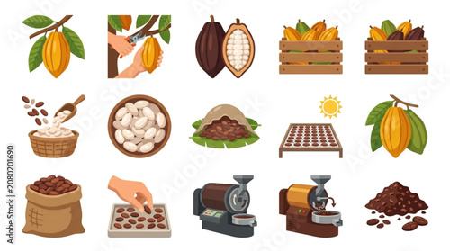 Schilderij op canvas Cocoa bean processing and chocolate making illustration set.