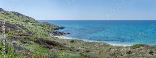 green shore on blue water at S.Marco cape on Oristano gulf, S.Giovanni di Sinis, Italy