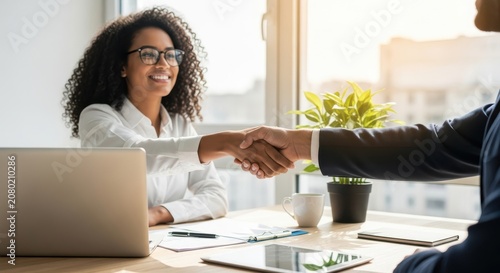 Professional business people shaking hands during office meeting