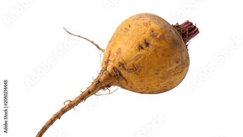 Photos Whole fresh organic yellow beetroot root culinary vegetable item isolated on tra
