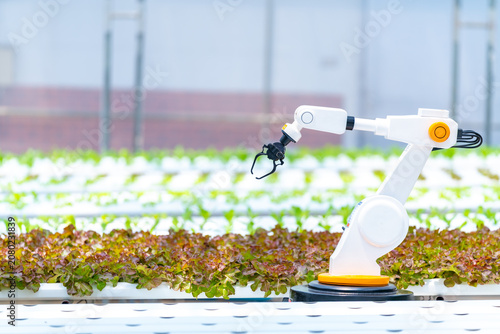 Autonomous robotic arm working in hydroponic greenhouse for precision farming agricultural automation smart agriculture AI technology sustainable crop monitoring and food production
