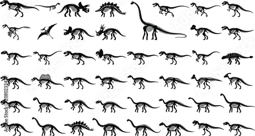 Foto Dinosaur skeleton silhouette vector icons set featuring tyrannosaurus rex tricer