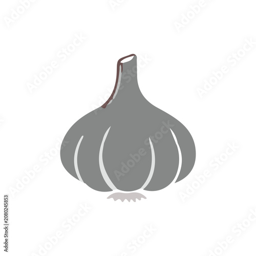 Garlic bulb vector illustration isolated on white background. Fresh garlic vegetable icon.