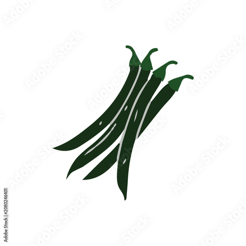 Green chili peppers vector illustration. Hot spicy green peppers bunch isolated on white background.