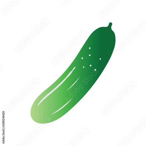 Green cucumber vector illustration isolated on white background. Fresh sliced or whole cucumber icon.