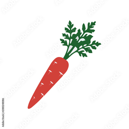 Orange carrot with green leaves vector illustration. Fresh vegetable isolated on white background.